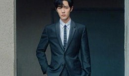 黑子爆料刘宇宁的视频,揭秘背后真相